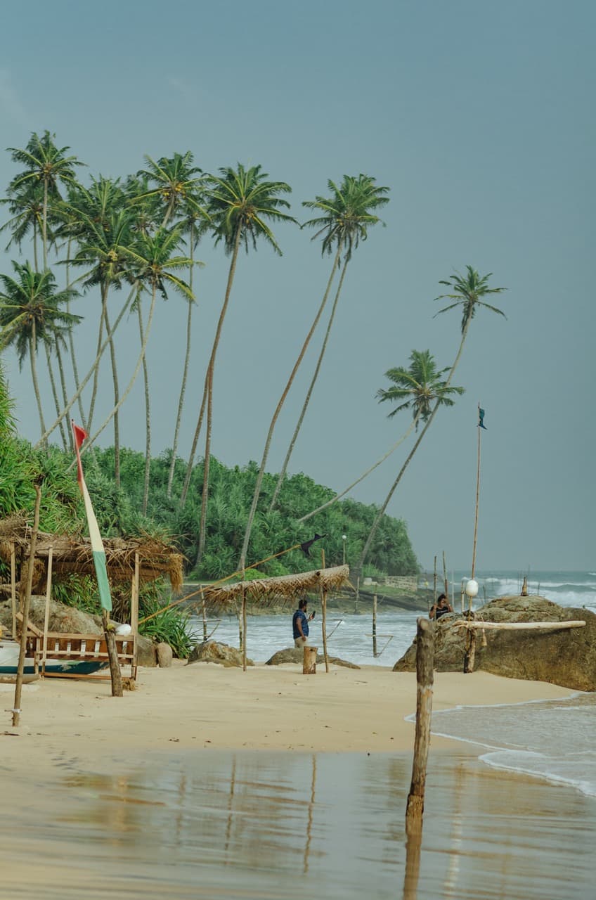 Превью Sri Lanka 2022